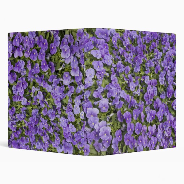 Violets Binder (Background)
