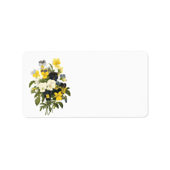 Violets et fleurs de sansy Étiquettes botaniques (Devant)