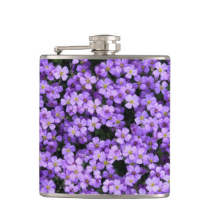 Violets Flask Violet Flowers