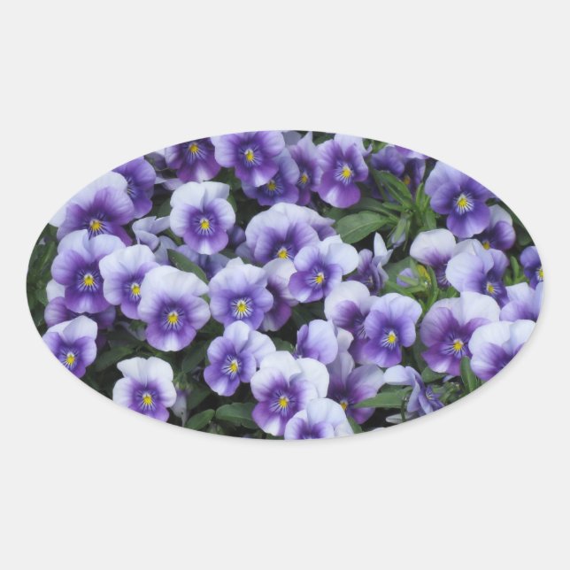 Violets stickers (Front)