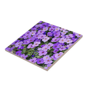 Violets Tile