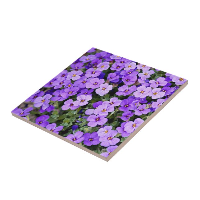 Violets Tile (Side)