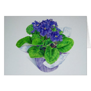 Violette africaine
