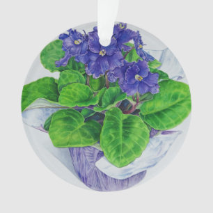 Violette africaine