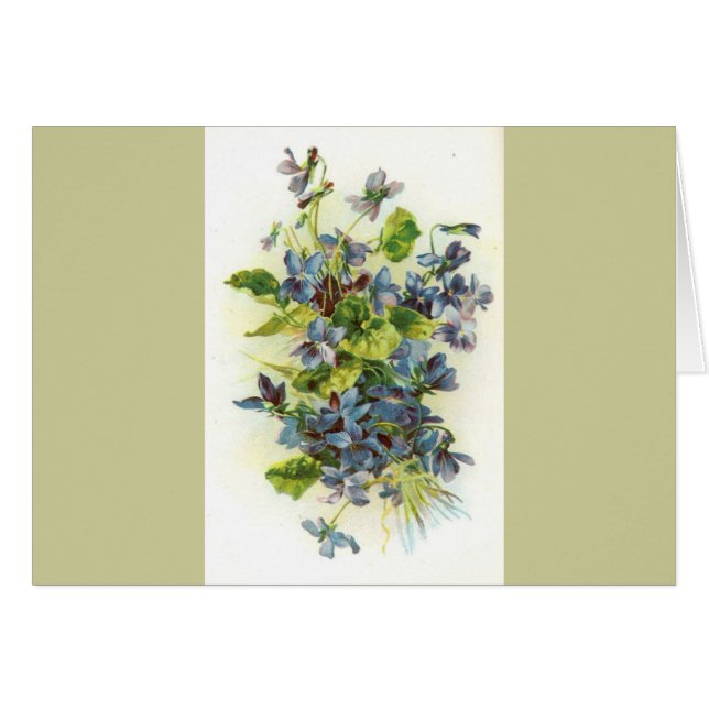 violettes (Devant horizontal)