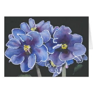 Violettes pourpres