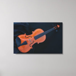 violin canvas print