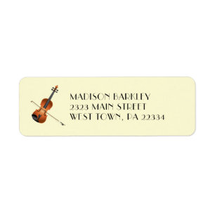 Violin Musician Teacher String Orchestra
