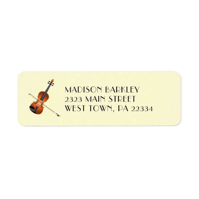 Violin Musician Teacher String Orchestra (Front)