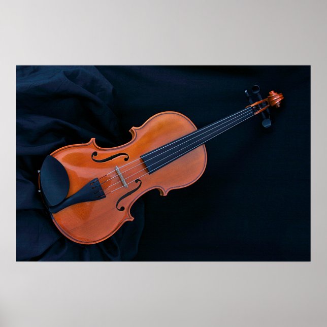 Violin Photo Closeup Poster (Front)