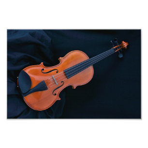 violin photo print