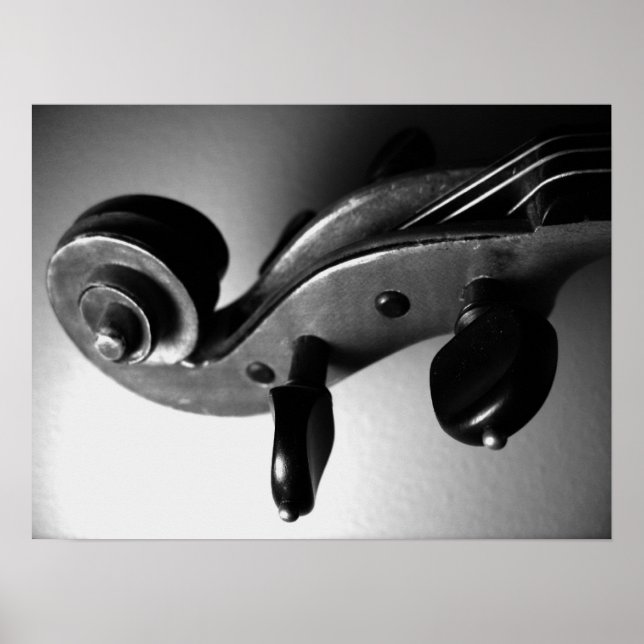 Violin Scroll Poster (Front)
