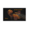 Violinist