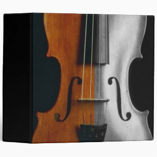 Violon Avery Classeur