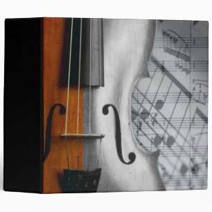 Violon Avery Classeur