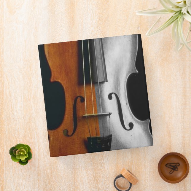 Violon Avery Classeur (In Situ)