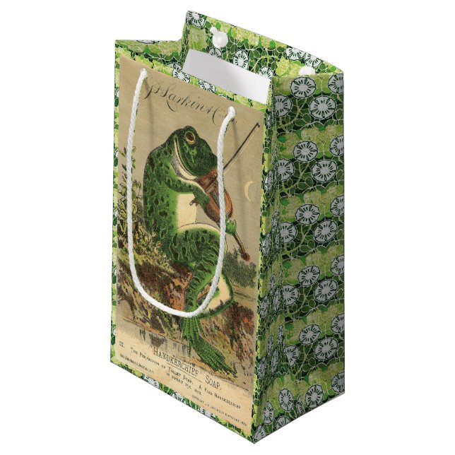 Violon jouant le sac de cadeau de grenouille (Devant Angle)