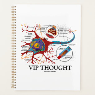 VIP Thought Neuron Synapse Neurotransmitter Humour Planner