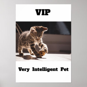 VIP  Very Intelligent Pet Adorable cat  Poster   