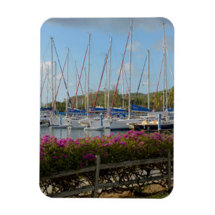 Virgin Gorda Yacht Harbour Magnet