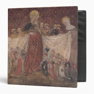 Virgin Protector, c.1417 Binder