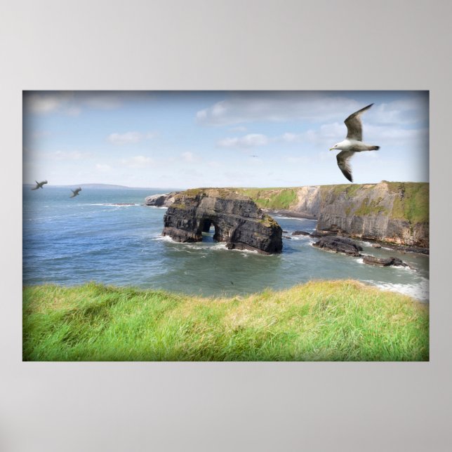 Virgin rock gulls in an updraught poster (Front)