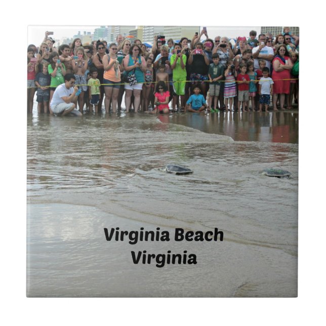 Virginia Aquarium Sea Turtle Release Tile (Front)