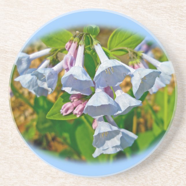 Virginia Bluebells Wildflower Coaster (Front)