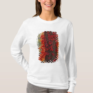Virginia Creeper bright red in autumn at