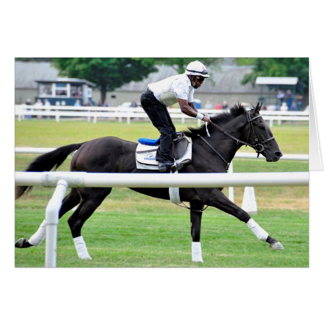 Virginia Derby Winner "War Dancer" (Front Horizontal)