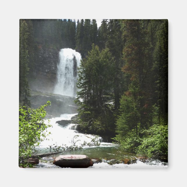 Virginia Falls at Glacier National Park Magnet (Front)