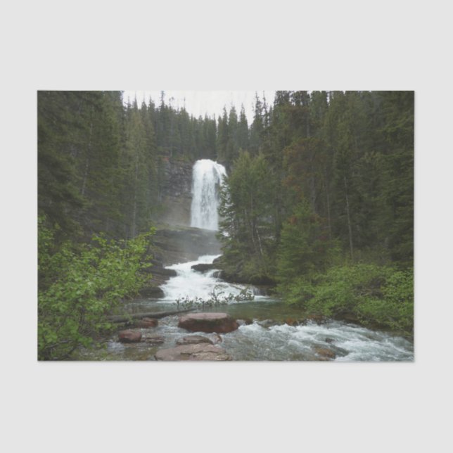 Virginia Falls at Glacier National Park Tissue Paper (Front)