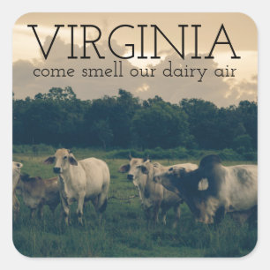 Virginia Monogram   Come Smell Our Dairy Air Quote Square Sticker