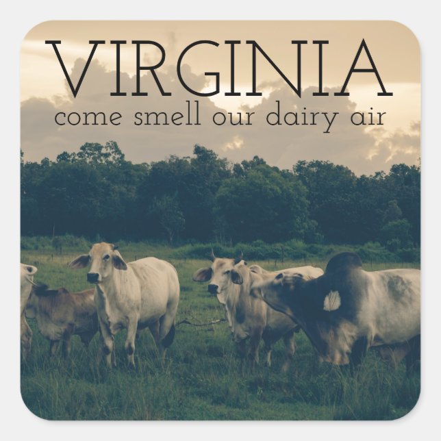 Virginia Monogram | Come Smell Our Dairy Air Quote Square Sticker (Front)