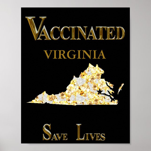 VIRGINIA  POSTER (Front)