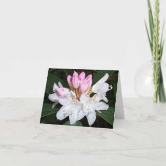 Virginia Rhododendron Card