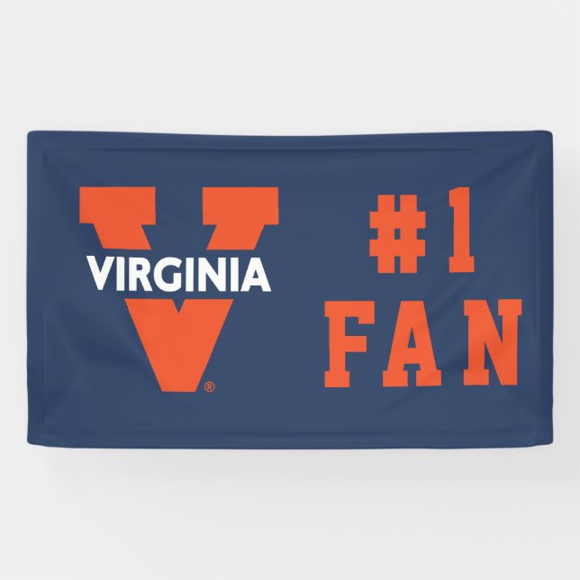 Virginia Split V Banner (Horizontal)