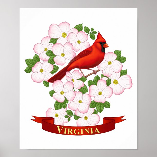 Virginia State Cardinal Bird and Dogwood Flower Poster (Front)