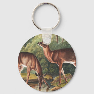 Virginian Deer (Cervus Virginianus) Illustration Keychain