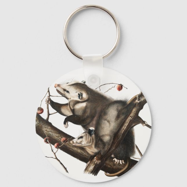 Virginian Opossum Didelphis Virginia Illustration Keychain (Front)