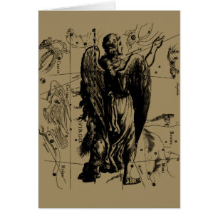 Virgo Constellation Hevelius Etching Style