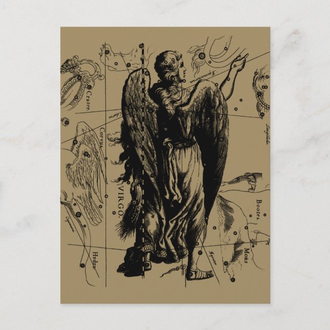Virgo Constellation Hevelius Etching Style Postcard (Front)