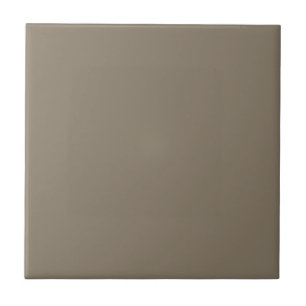 Virtually Taupe Square Kitchen and Bathroom Tile