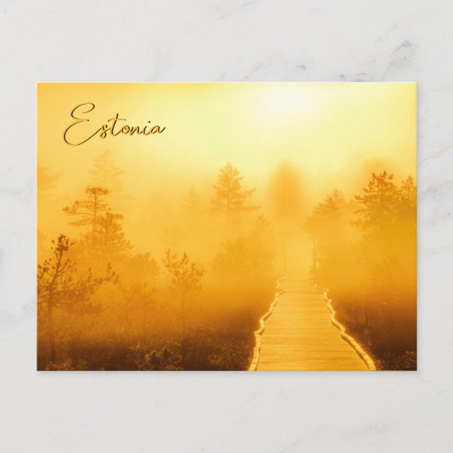 Viru Bog Golden Sunrise Postcard (Front)