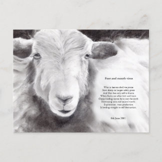 Virus de la fièvre aphteuse - carte postale de mou