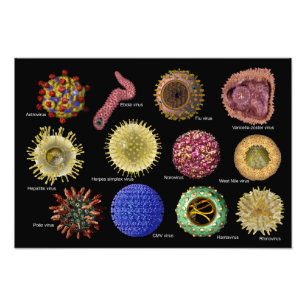 Viruses Photo Print