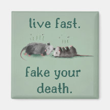 Vis Rapidement. Fake Ta Mort. Aimant Opossum