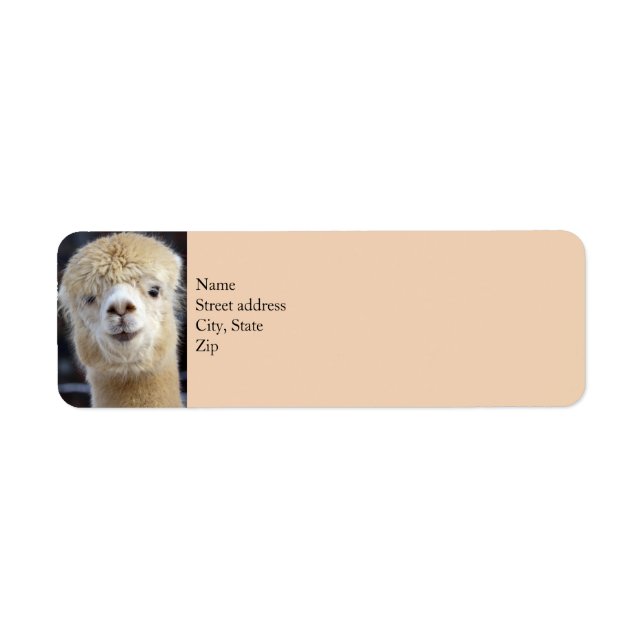 Visage d'alpaca mignon (Devant)