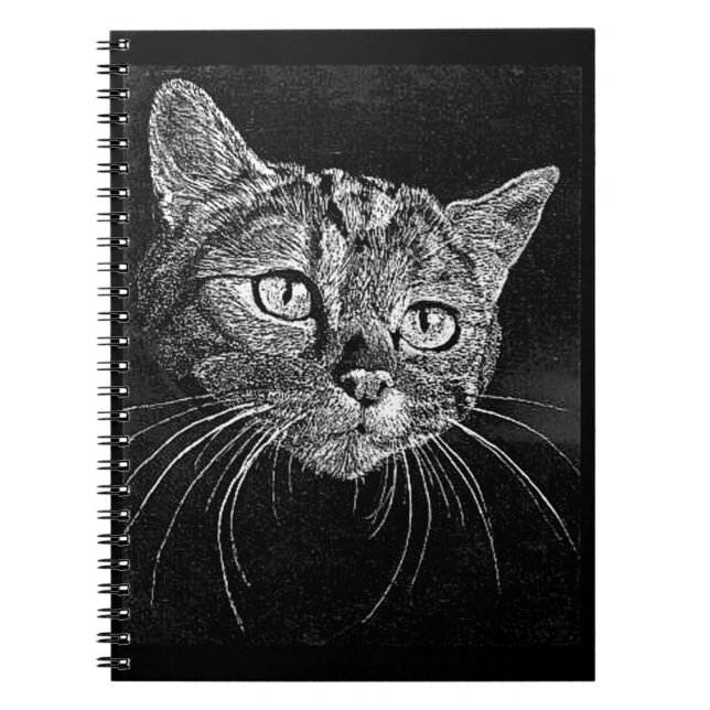 Visage de chat ... JOURNAL (Devant)