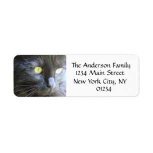 Visage de chat noir, étiquettes de adresse de